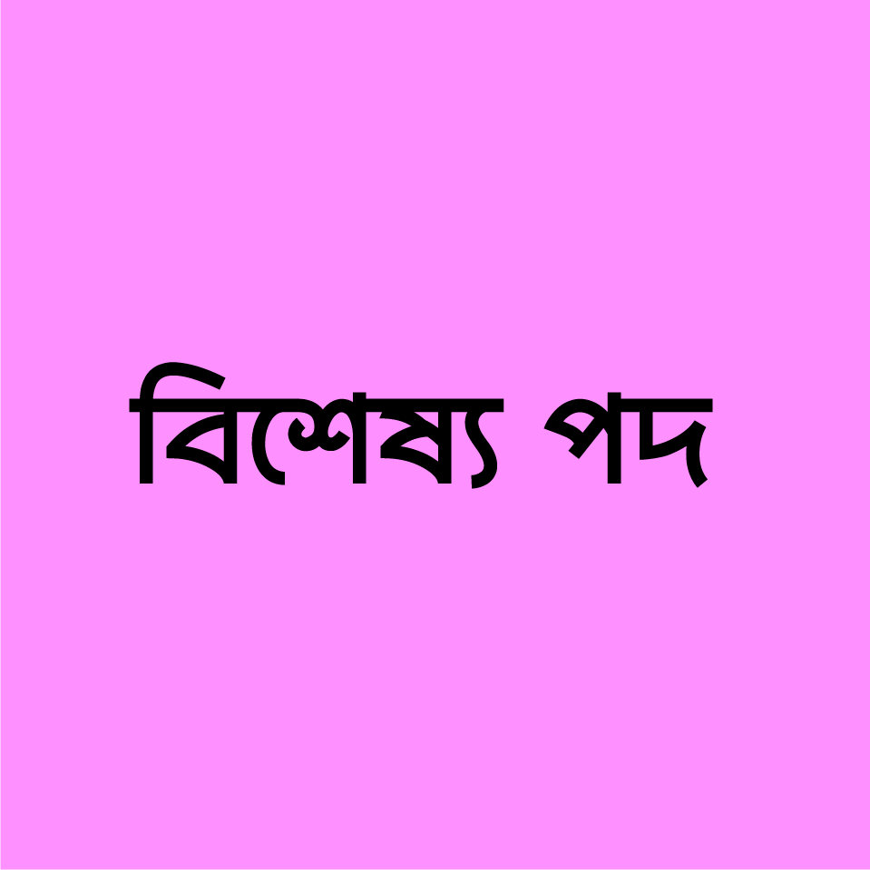 বিশেষ্য পদ